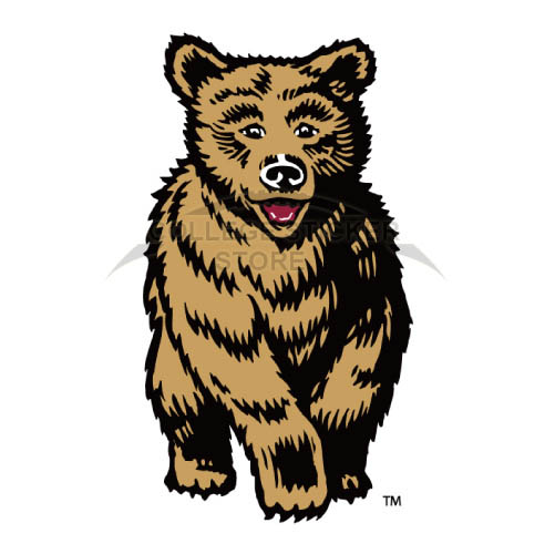 Personal Montana Grizzlies Iron-on Transfers (Wall Stickers)NO.5172